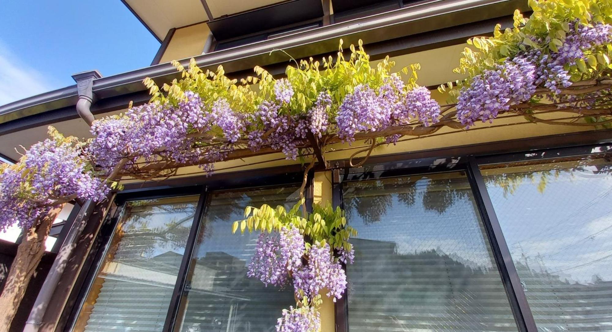 Maple Haus Hida Takayama - Vacation Stay 07682V Екстериор снимка